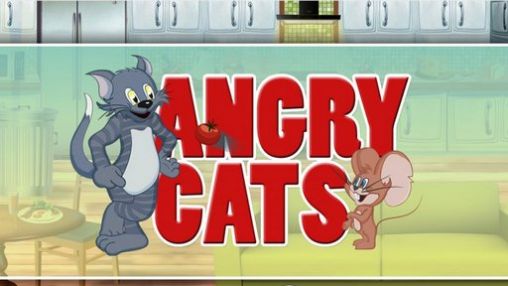 Gatos com raiva. Gatos contra ratos