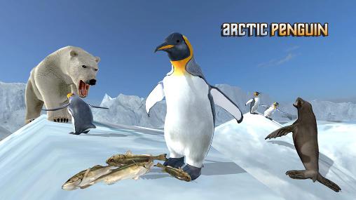 Pinguim ártico