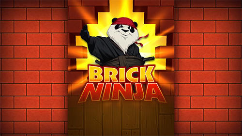 Ninja de blocos