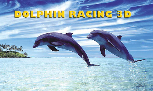 Corrida de Golfinhos 3D