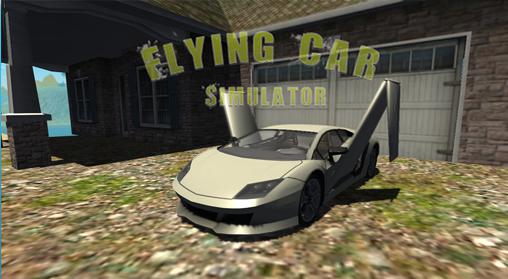 Carro voador: Piloto radical