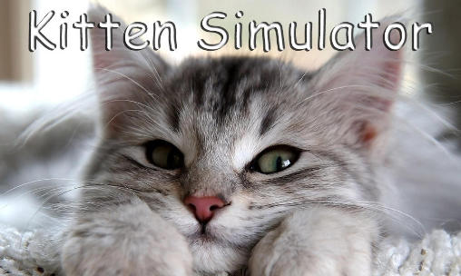 Simulador do gatinho