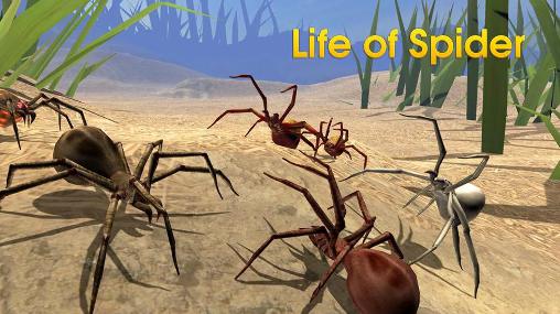 Vida de aranha
