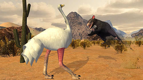 Ostrich bird simulator 3D