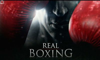 Boxe Verdadeiro
