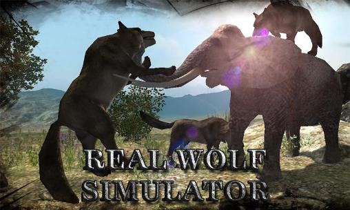 Simulador de lobo real