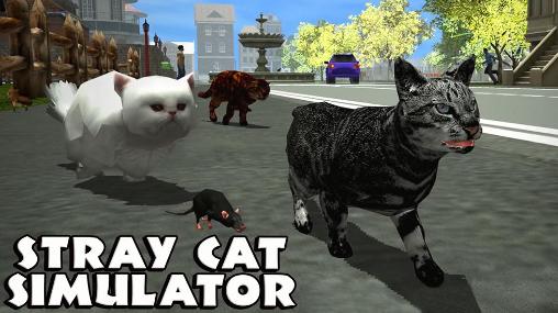 Simulador de gato de rua
