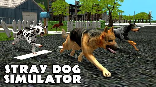 Simulador de cão vadio