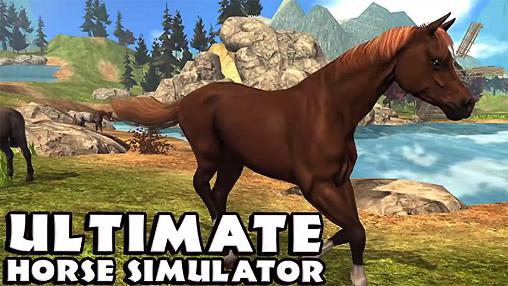 Último simulador de cavalo 