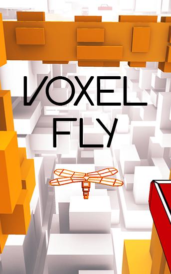 Voo de Voxel