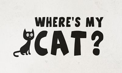 Onde Está o Meu Gato?