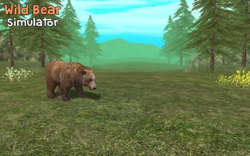 Simulador de urso selvagem 3D