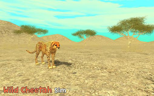 Simulador de Chita selvagem 3D