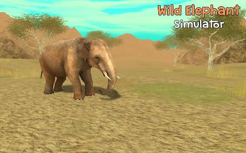 Simulador de Elefante selvagem 3D