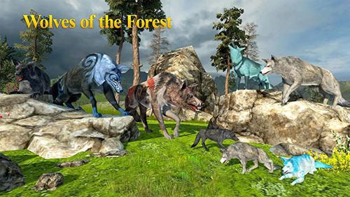 Lobos da floresta