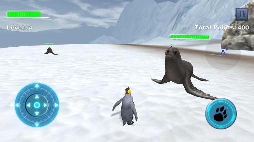 Pinguim ártico