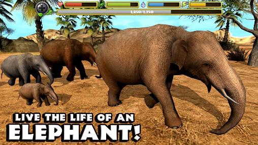 Simulador de Elefante