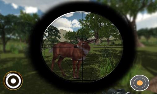 Caçador atirador: Tiro em cervos