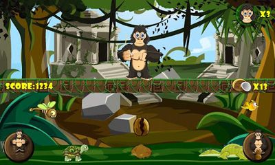 O Templo do Macaco Furioso