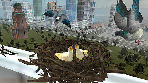 Pássaro voando: Simulador de pombo 2