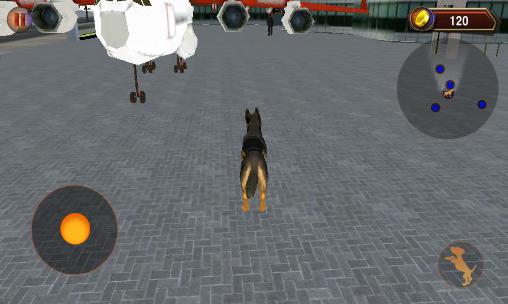 Simulador do cão policial 3D