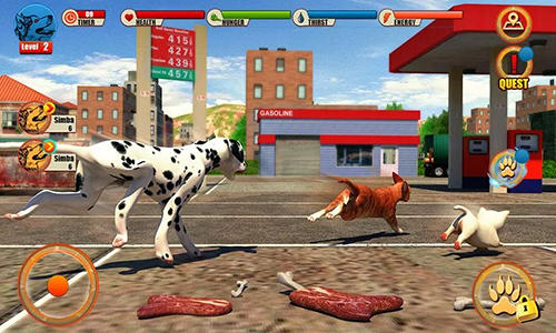 Simulador de cão de rua 3D