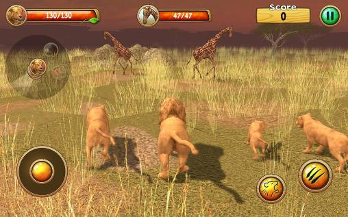 Simulador de leão selvagem 3D