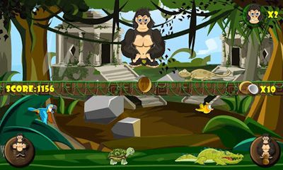 O Templo do Macaco Furioso