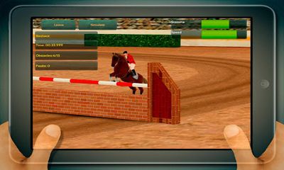 Campeonato de Saltos de Cavalos