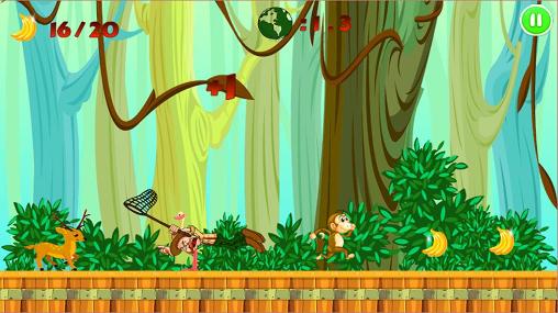 Corrida macaco na selva