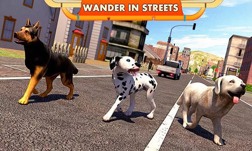 Simulador de cão de rua 3D