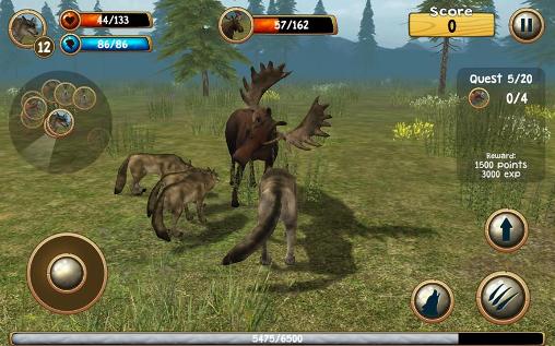 Simulador de Lobo selvagem 3D