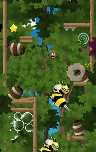 Doctor Acorn: Forest bumblebee journey