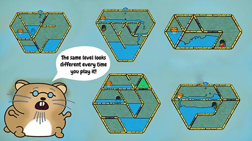 Hamster rápido e pirâmide afundado: Um quebra-cabeça de água