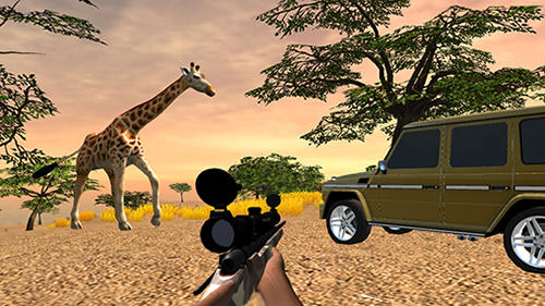 Safari Caça 4x4