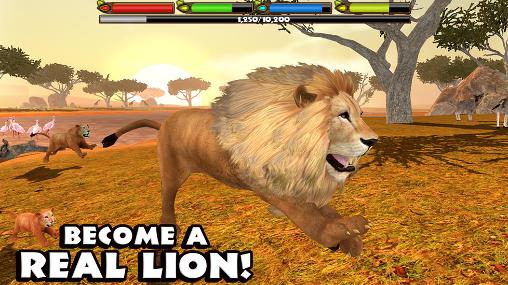 Simulador máximo de leão