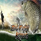 Juntamente com o jogo Fuja da Zona de Guerra para Android, baixar grátis do Big fish king em celular ou tablet.