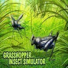 Juntamente com o jogo Presentes mágicos do Natal para Android, baixar grátis do Grasshopper insect simulator em celular ou tablet.
