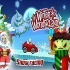 Juntamente com o jogo Ponto de vista para Android, baixar grátis do Winter wonderland: Snow racing em celular ou tablet.