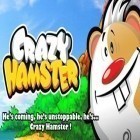 Juntamente com o jogo A História de Herói para Android, baixar grátis do Hamster Louco em celular ou tablet.