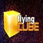 Juntamente com o jogo Impérios e quebra-cabeças para Android, baixar grátis do Cubo voando  em celular ou tablet.
