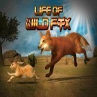 Juntamente com o jogo O Pasto de Ovelhas para Android, baixar grátis do A vida da raposa selvagem em celular ou tablet.