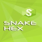Juntamente com o jogo Tank shooting attack 2 para Android, baixar grátis do Serpente hex em celular ou tablet.