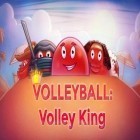 Juntamente com o jogo Riding Extreme 3D para Android, baixar grátis do Voleibol: Rei de Voleibol em celular ou tablet.