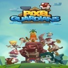 Juntamente com o jogo Atacante de Dragões para Android, baixar grátis do Guardiães Pixel: 3D pixel em celular ou tablet.