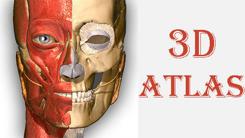 Baixar grátis o aplicativo Guias Aprendendo anatomia - Atlas 3D  para celulares e tablets Android.
