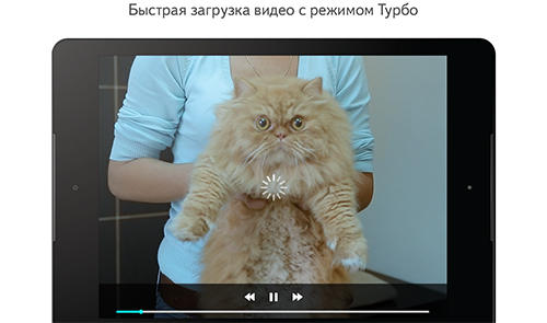 Yandex navegador