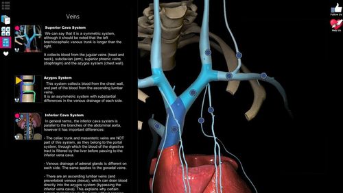 Aprendendo anatomia - Atlas 3D 