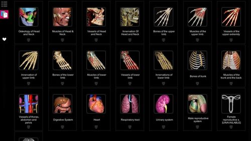 Aprendendo anatomia - Atlas 3D 