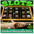 Juntamente com o jogo Os Croods para Android, baixar grátis do Kush Slots: Marijuana Casino, Lucky Weed Smokers em celular ou tablet.